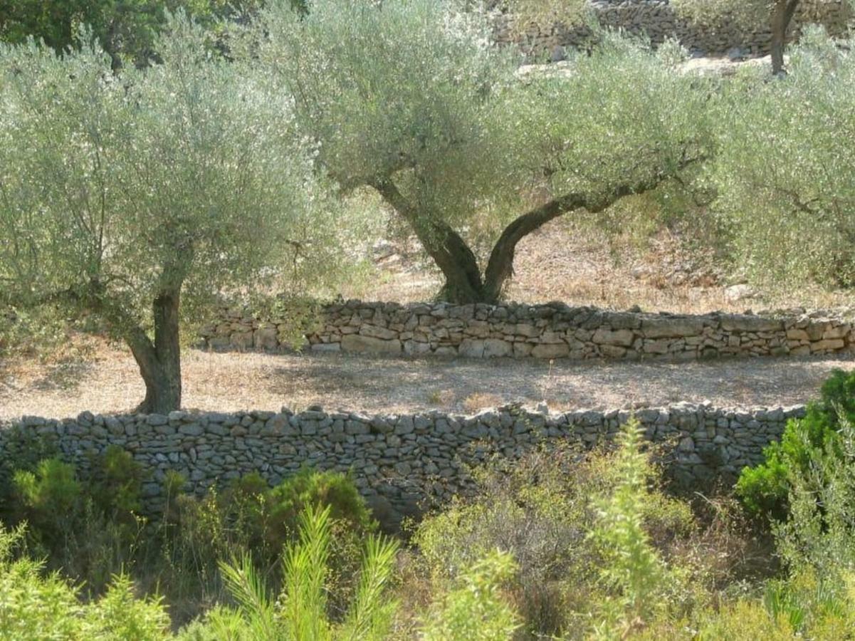 Casa Almendra Villa El Perelló Eksteriør bilde